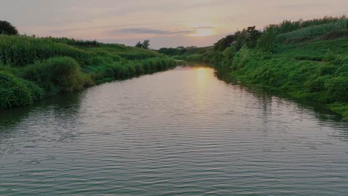 小船停在夕阳下的小河中 白鹭缓缓飞过