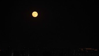 月亮在城市上空升起视频素材