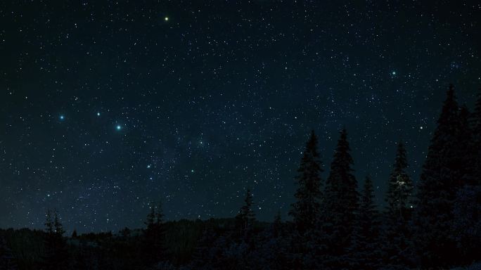 星空夜晚  树林 星空背景