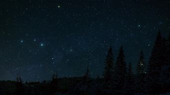 星空夜晚  树林 星空背景视频素材