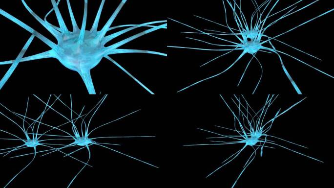 神经元透明通道