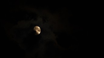 月夜 月亮 明月视频素材