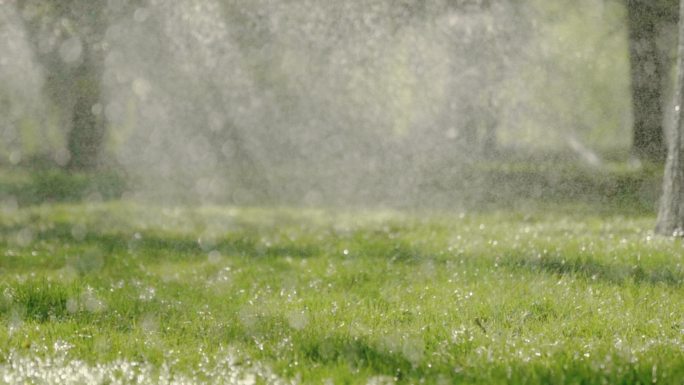 大水霖霖2  花草喷灌 阳光 4K 升格