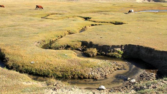 中国最窄的河流：内蒙古耗来河