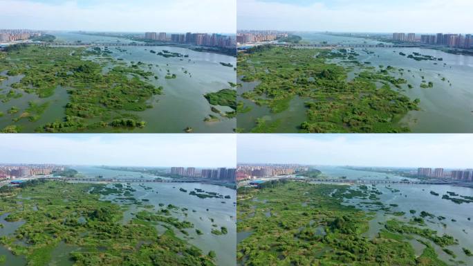 航拍临沂沂河湿地风景