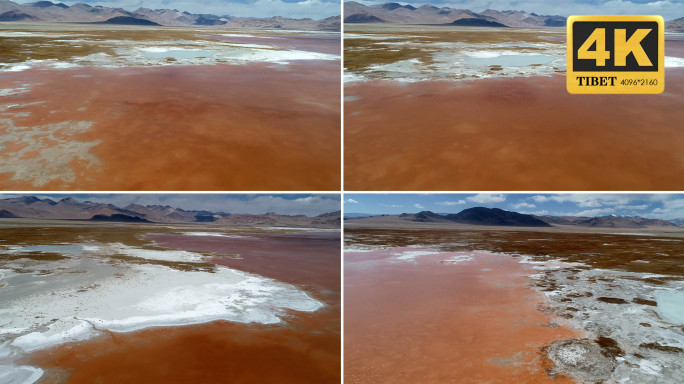盐碱地 生态 自然 地貌 红色的湖泊
