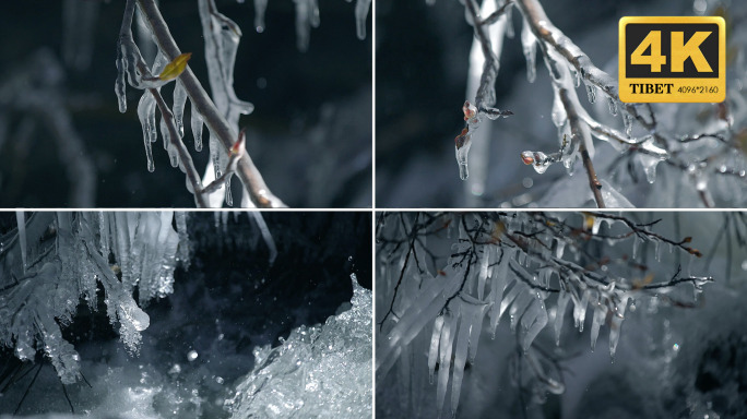 冰 冰挂 冬天 冰锥 冻树枝 融化