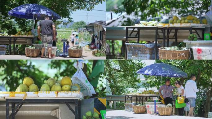 夏天农民在公路边摆摊卖水果