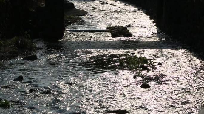 浙江江水溪水夕阳金光闪烁流淌时光实拍素材