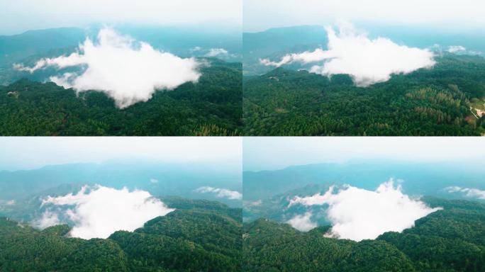 水墨山水，山里早晨，云雾山航拍素材