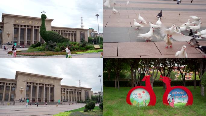 河北省博物馆广场建筑鸽子4K