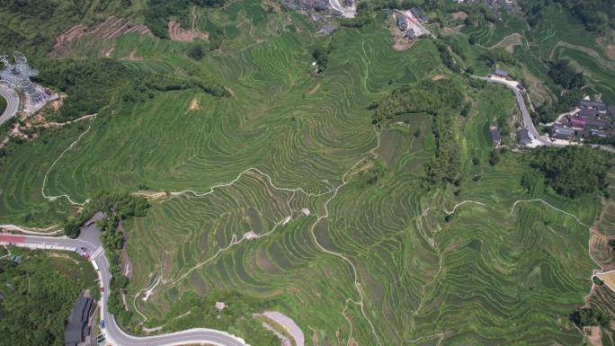 浙江丽水云和梯田航拍