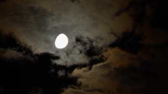 月夜 月亮 天空视频素材