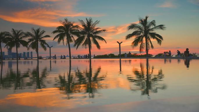 海南风光  海南椰子树  夕阳椰子树