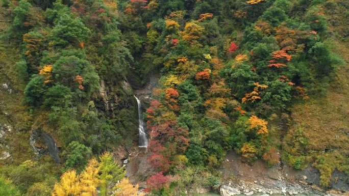 航拍秋天川西彩林瀑布自然风景