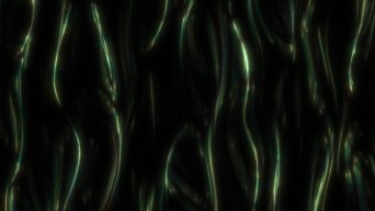 科技抽象波浪线条粒子背景视频素材