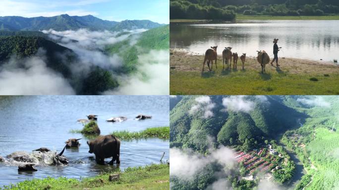 海南云雾缭绕的美丽山村