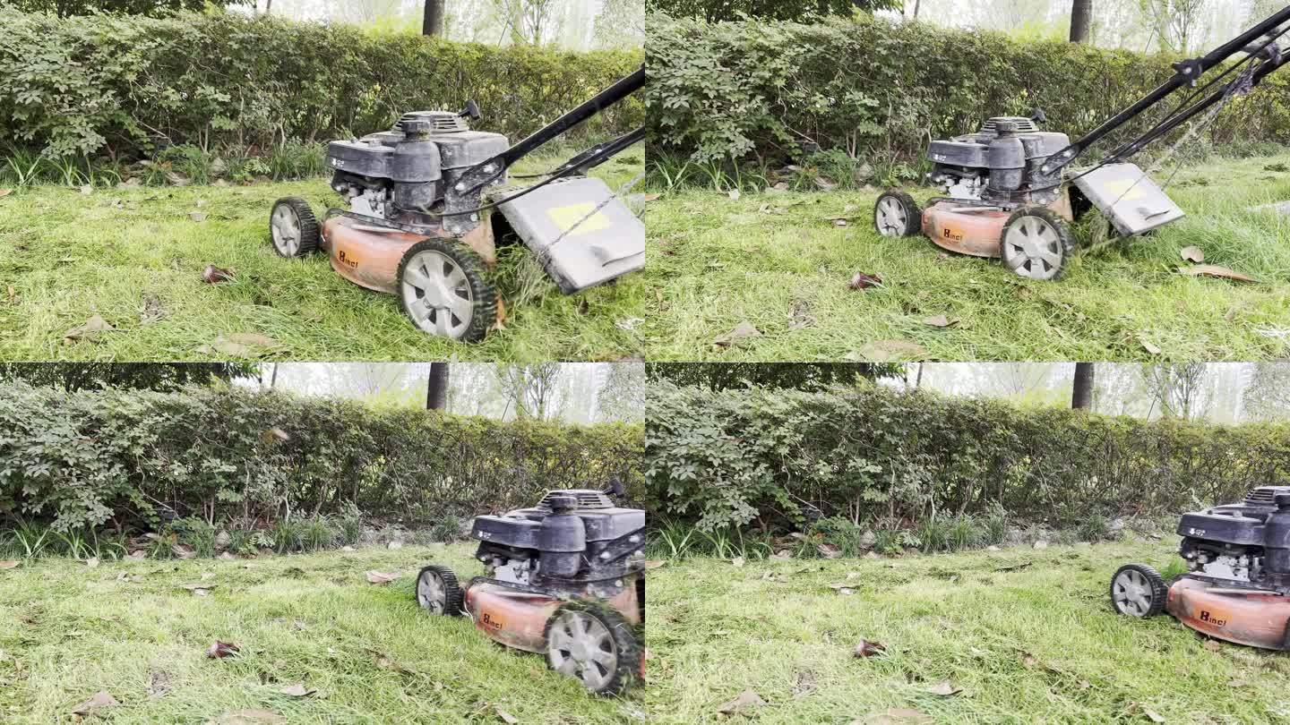 园艺工人用机器修剪草坪