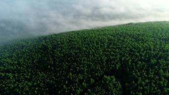 航拍绿色山林云雾视频素材