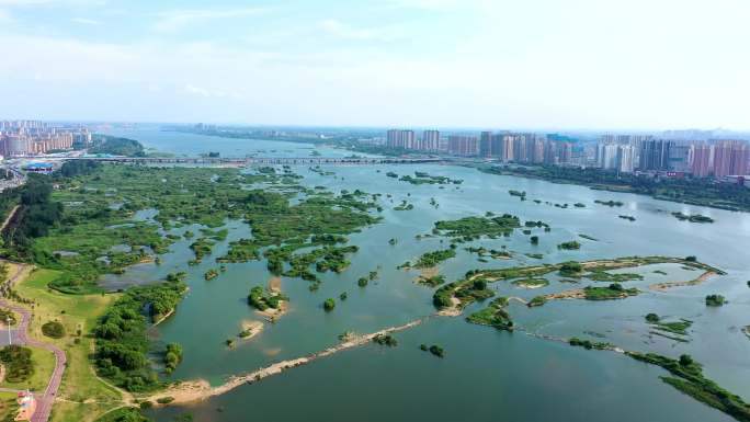 航拍临沂市经开区沂河新区沂河湿地公园风景