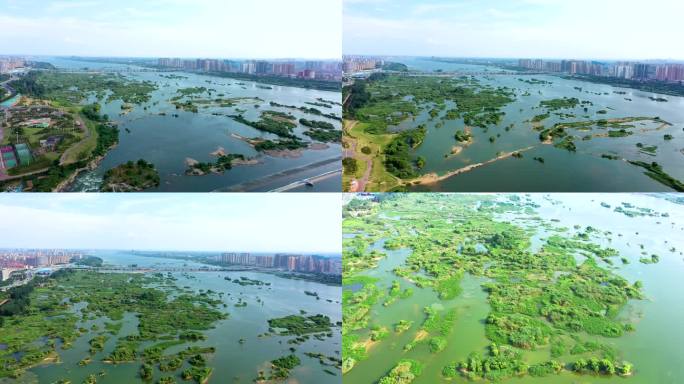 航拍临沂市经开区沂河新区沂河湿地公园风景