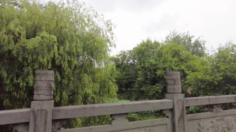 唯美公园小桥风景运镜空镜头视频素材