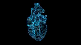 4k藍色全息線框科技心臟跳動動畫帶通道視頻素材