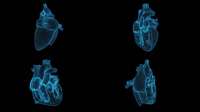 4K蓝色全息线框科技心脏跳动动画带通道