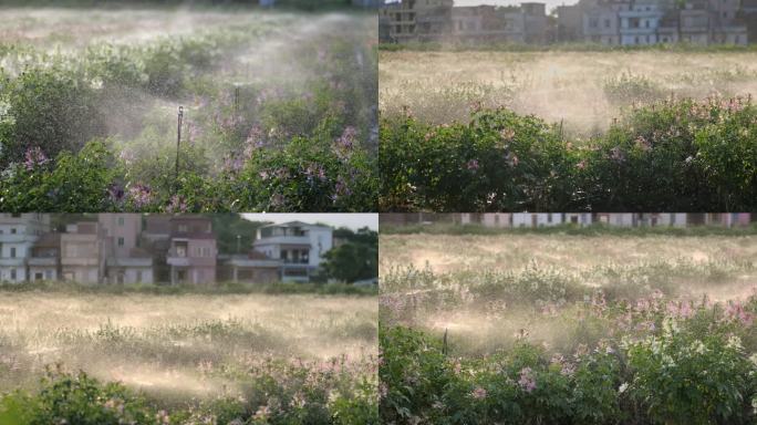 花海自动洒水