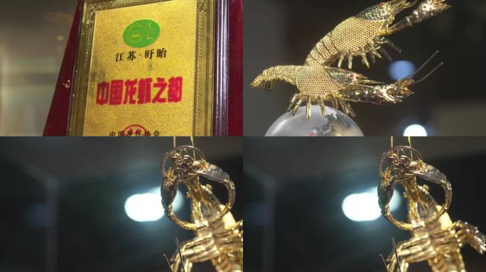 龙虾博物馆 中国龙虾之都龙虾节庆A016