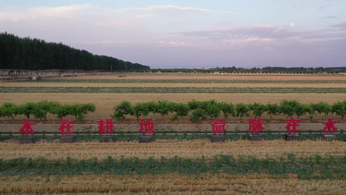 高标准农田航拍