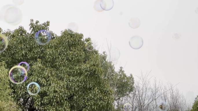 空中漂浮肥皂泡泡