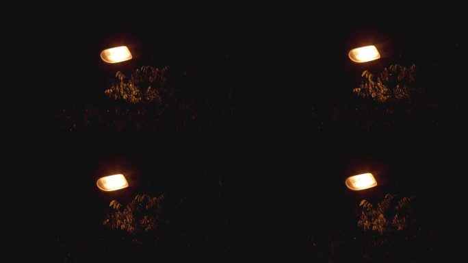 4K实拍意境路灯夜景树叶飘动