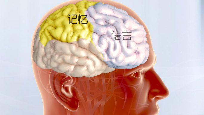 大脑神经 脑信息 数据大脑  头脑风暴