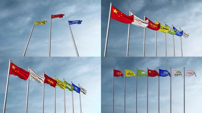 上海合作组织 旗帜 国旗 旗帜飘扬