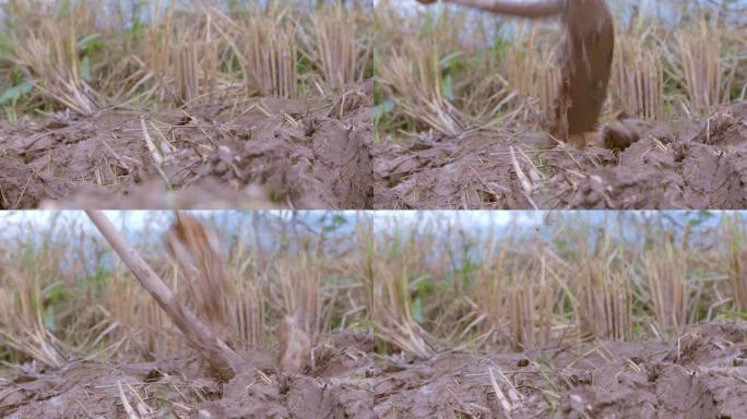 锄地 泥土 枯草 溅 水