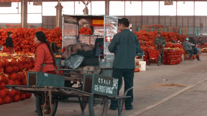 寿光大棚 蔬菜大棚 农业生产