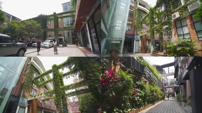 建筑与自然结合原生态 植物