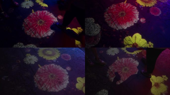 地上三维大红花投影