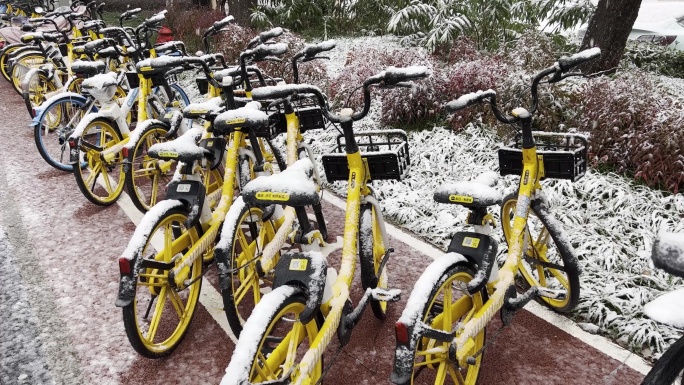 下雪天路边美团共享单车