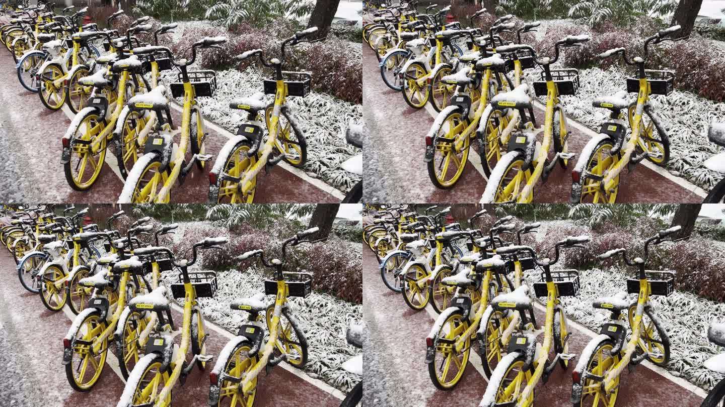 下雪天路边美团共享单车