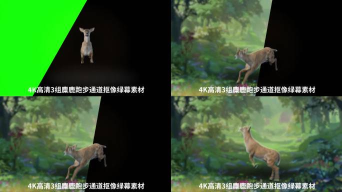 4K麋鹿走路循环动画3组不同角度