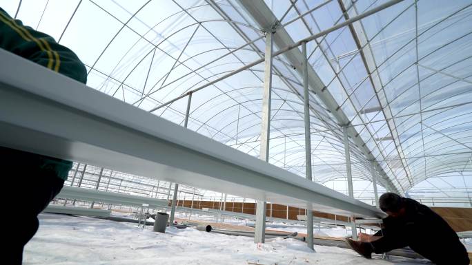 建设施工 大棚搭建 工人