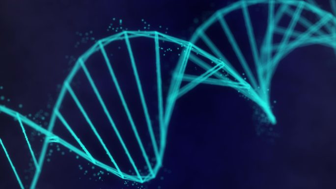 DNA链条双螺旋分子结构