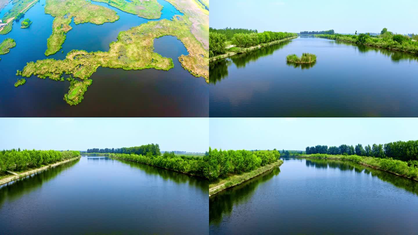 【原创4K】湿地河流