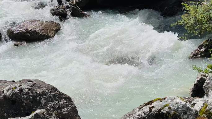 流水 清澈 山泉 草原 溪流 水源