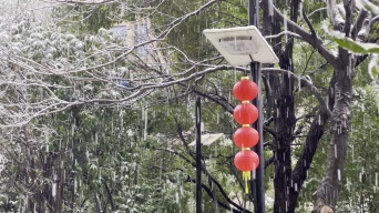下雪天公园路旁挂红灯笼的路灯视频素材