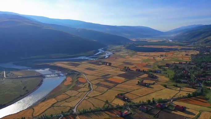 高原梯田万里晴空秋景实拍4K