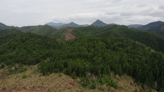 山野 树林 梯田航拍