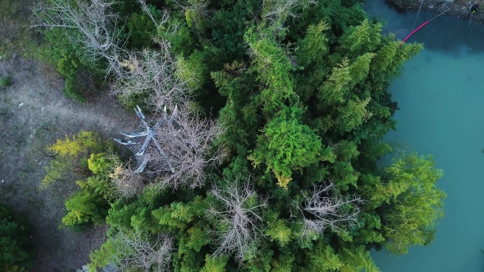 上海韩湘水博园